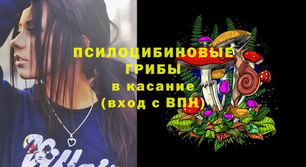 ГАЛЛЮЦИНОГЕННЫЕ ГРИБЫ Абинск