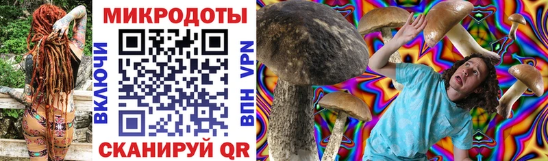 Галлюциногенные грибы мухоморы  Кемь 